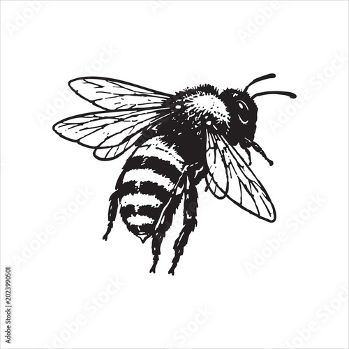 Bee Silhouette Vector Illustration Design