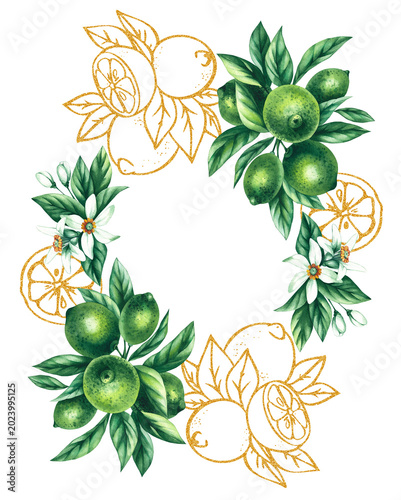 Lime wreath. Watercolor hand-drawn citrus tropical fruit. Lime hand-painted illustration. Botanical lime fruit for wedding invitations, festivals, or postcards.