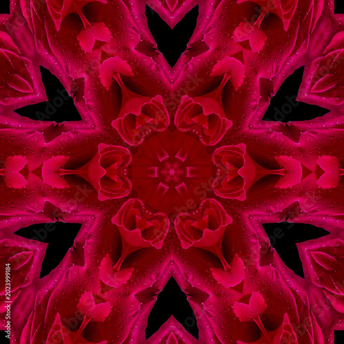 Quadro su tela abstract background of rose flower with water drops pattern of a kaleidoscope