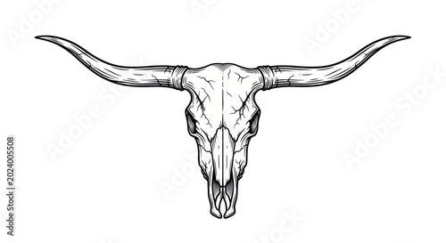 Photos Longhorn Cattle Skull Illustration - Western Decor, Rustic, Texan Icon