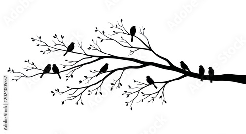 Photography Silhouette of Birds Perched on a Bare Tree Branch Against White Background