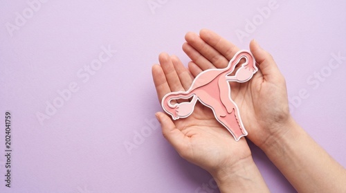 Female reproductive system paper model held in hands, anatomical uterus and ovaries icon on purple background, women health and gynecology concept
