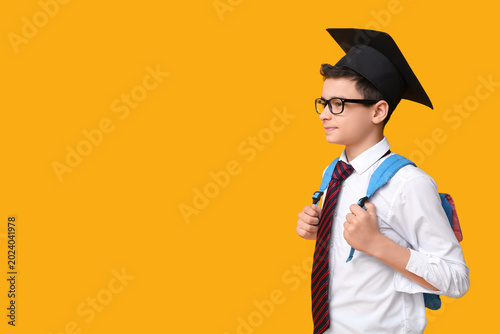 Cute schoolboy in graduatio...