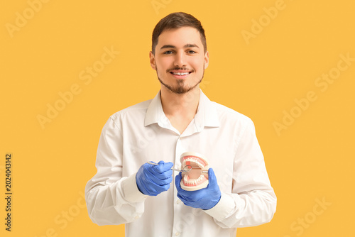 Male dentist with plastic jaw model and dental mirror on yellow background