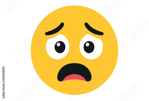 Photography Concerned face emoticon expression icon.