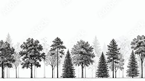 Canvas Print Vintage hand drawn forest trees border, black and white engraved woodcut style w