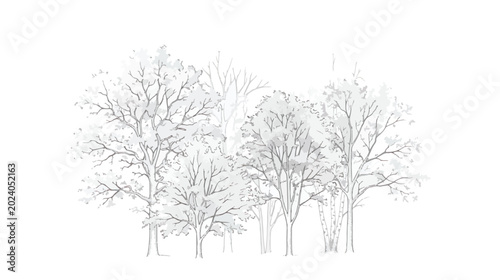 Fotografie Minimalist hand drawn winter trees vector, bare deciduous forest landscape sketc