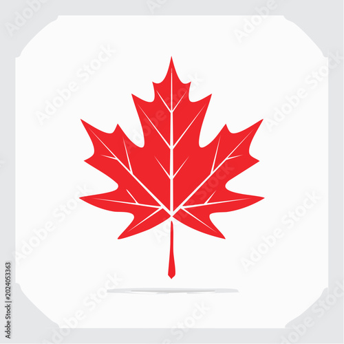 Red Maple Leaf Icon