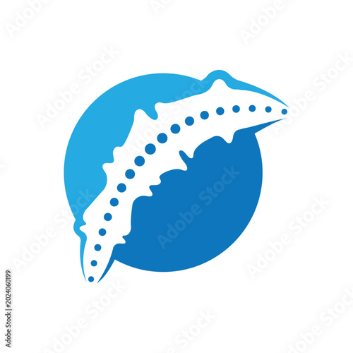 Spine diagnostics symbol logo template vector