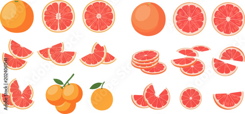 Tableau sur toile Set of fresh grapefruit whole, half, and slices, healthy citrus fruit vector illustration