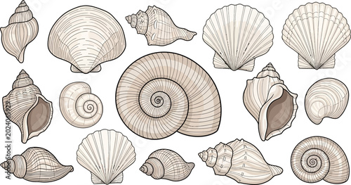 Foto Adobe Illustrator Artwork