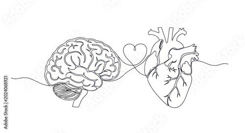 Photos The Interconnectedness of the Human Brain and Heart.