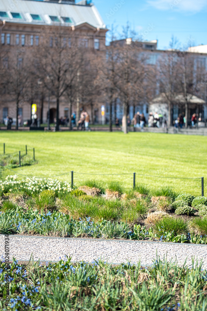 Fototapeta premium Young green well-groomed grass lawn with neat flowerbeds and spring flowers arranged in public garden, urban landscaping development and natural installations in city park, recreation place for people