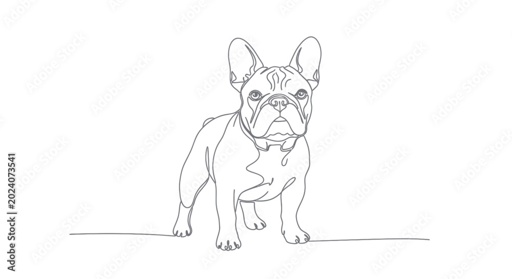 Fototapeta premium French Bulldog Line Art Drawing Minimalist Single Line Illustration