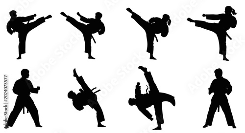 Cuadro en lienzo Martial Arts Silhouette Collection: Karate, Kung Fu, Taekwondo Action Poses