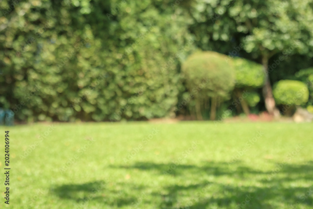 Fototapeta premium Abstract blur green park garden for background