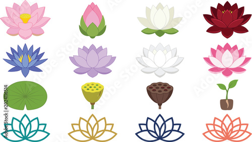 Photos Lotus Flower Collection Vector Illustration Featuring Blooming Water Lilies Flor
