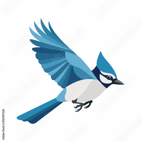 Blue Jay in Flight