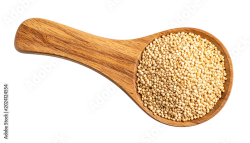 Wooden spoon filled with tiny beige grains against black background