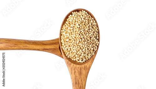 Spoonful of quinoa, tiny seeds of health, on a dark backdrop