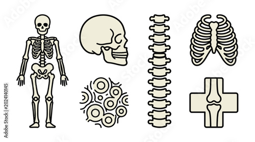 Orthopedic medical icon set featuring human skeleton and bones