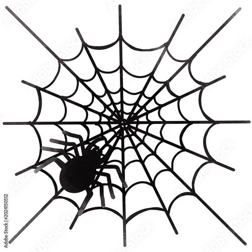 Foto spider and web