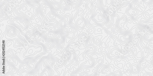 Foto Layered White Landscape Background with Flowing Topographic Curves and Seamless