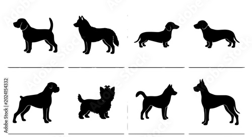 Foto Diverse Dog Breeds Silhouettes Collection, Vector Icons Set, Canine Companions G