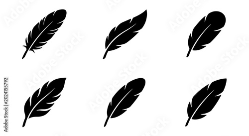 Foto Set of Six Black Feather Icons, Vector Graphics for Delicate Design Elements, Sy
