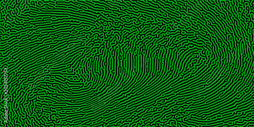Bilde på lerret Seamless Reaction diffusion or turing pattern vector design caused by reaction–diffusion system similar to maze or coral pattern