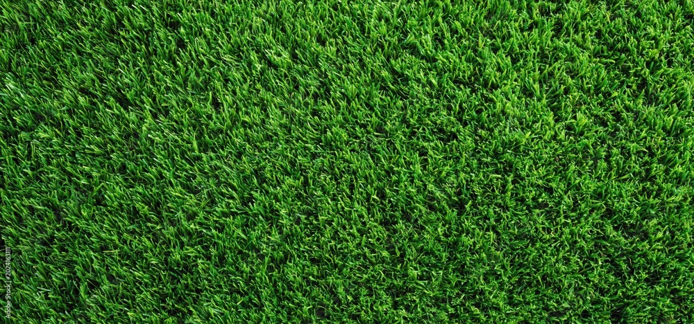 Fototapeta premium Green grass texture full frame background