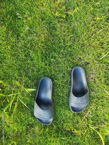 Slippers on grass