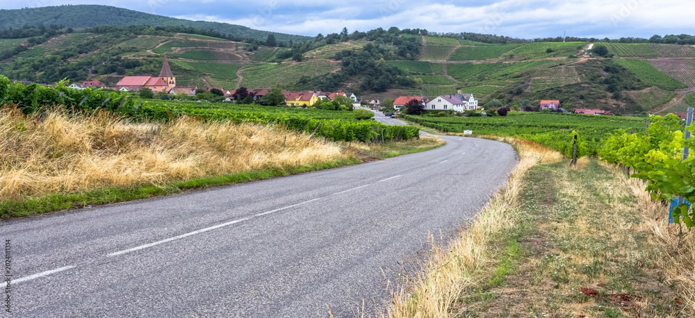 Obraz premium Niedermorschwihr, Alsace