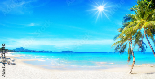 Sea beach landscape, paradise tropical island, green coconut palm tree leaves, white sand, turquoise ocean water, blue sunny sky, beautiful exotic nature, hot day on summer holidays, vacation, travel