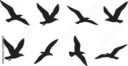 Detailed silhouettes of various seagulls flying in different positions captured in this high contrast black and white artistic digital image