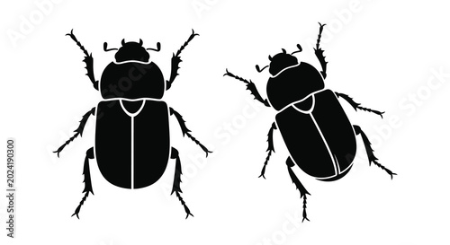Bild auf Leinwand Two beetle silhouettes against a white background silhouette