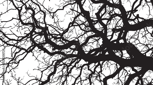 tree, branches, silhouette, black, white, nature, abstract, pattern, texture, organic, design, background, art, forest, structure