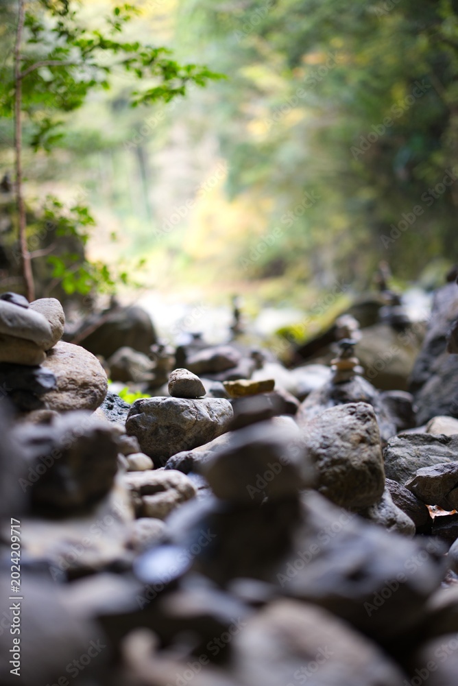 Obraz premium Stone cairns balanced gracefully in a peaceful forest setting