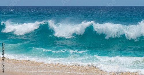 Foto Cabo San Lucas Baja Califronia Sur, MEXICO, lugar turistico famoso en el sur de la peninsula