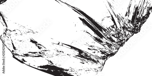 Foto seashell silhouette on white background black and white