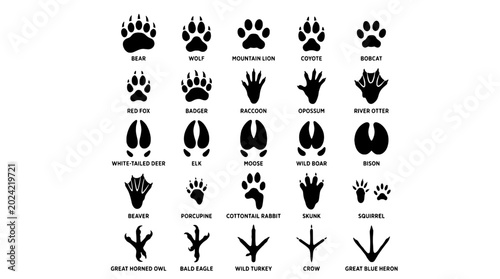 Animal paw print icons set with wild mammals including bear, wolf, coyote, deer, fox, elk, moose, and bison