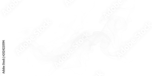 Tableau sur toile White smoke swirls on black background abstract ethereal vapor wisps artistic fl