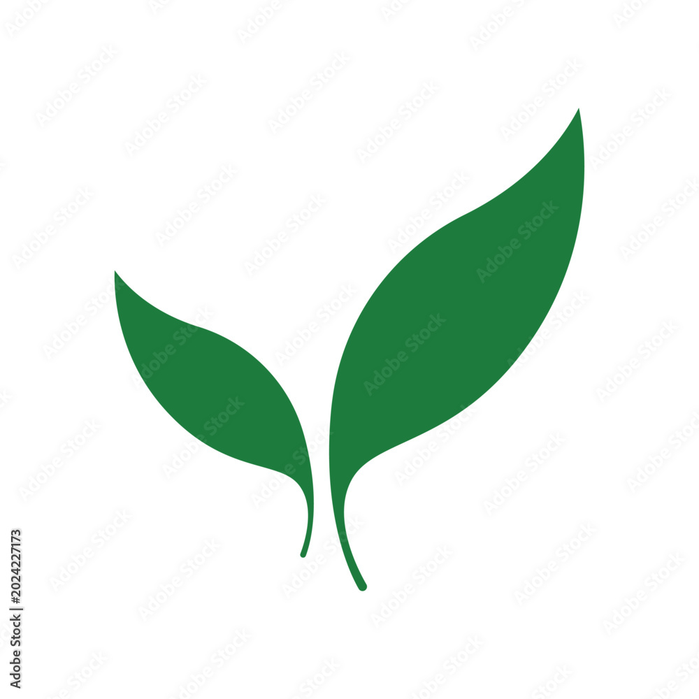 Fototapeta premium Green leaf vector 
