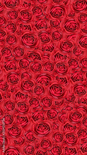 seamless pattern with rose flowers, red rose background