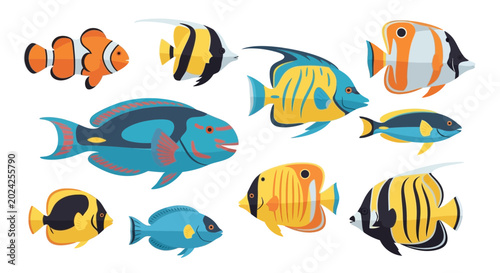 Φωτογραφία Colorful Tropical Fish Collection - Marine Life Underwater