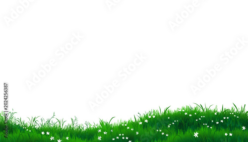 Meadows and white flowers against a transparent background; a digitally drawn illustration used for spring-themed designs.green grass background