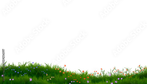 Meadows and orange, purple, and pink flowers against a transparent background; a digitally drawn illustration used for design, foreground, or clip art in a spring concept.