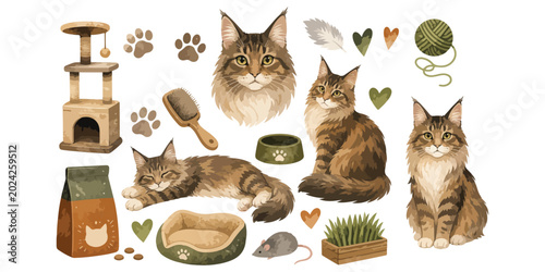 Bild auf Leinwand watercolor cute maine coon cat collection