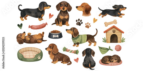 Bild auf Leinwand watercolor cute dachshund dog collection