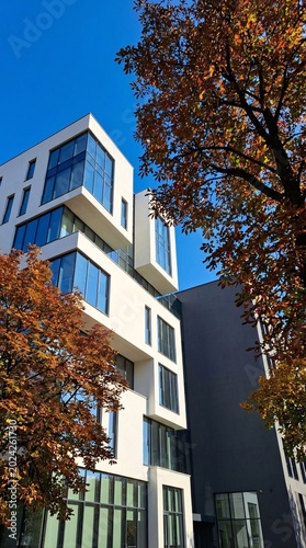 Modern architectural marvel - A striking building amidst autumn foliage under a clear blue sky.